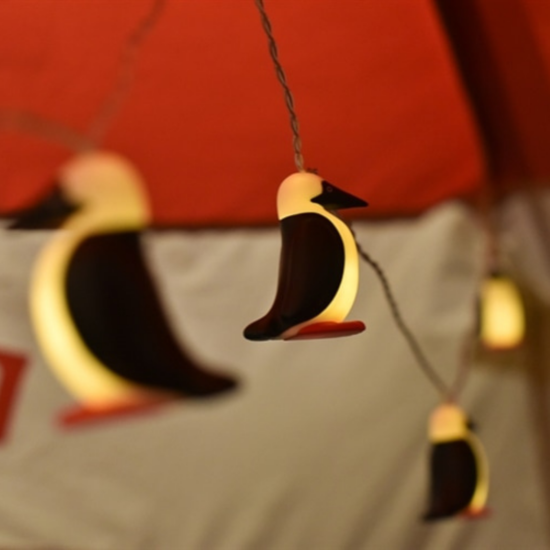 Booby Strings Light | CHUMS