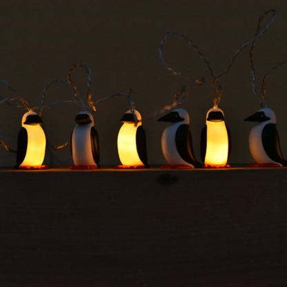 Booby Strings Light   |  CHUMS