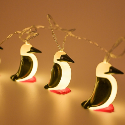 Booby Strings Light   |  CHUMS